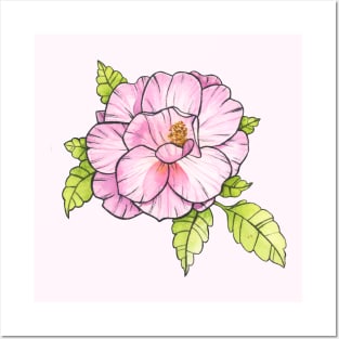 Pink Rose Posters and Art